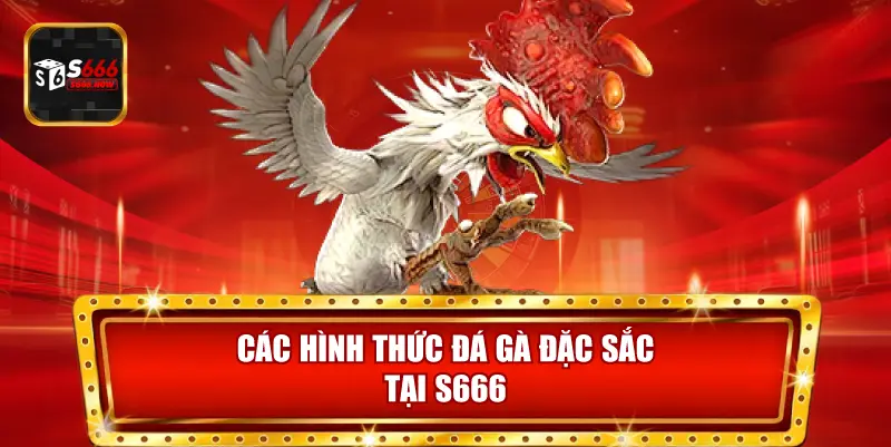 Đá Gà S666 cung cấp đá gà trực tiếp, trực tuyến và các giải đấu đặc biệt cho kê thủ.