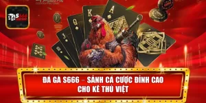Đá Gà S666 mang đến sảnh cá cược chuyên nghiệp với tỷ lệ cược minh bạch và cơ hội thắng cao.
